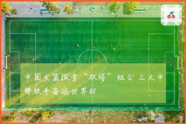 中国女篮探索“双塔”组合 三大中锋联手备战世界杯
